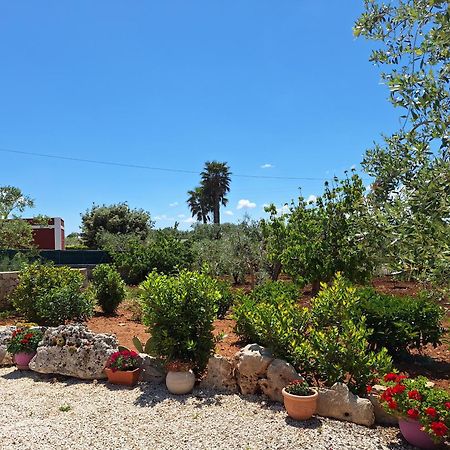 Ferienwohnung Baciati Dal Sole Martina Franca Exterior foto